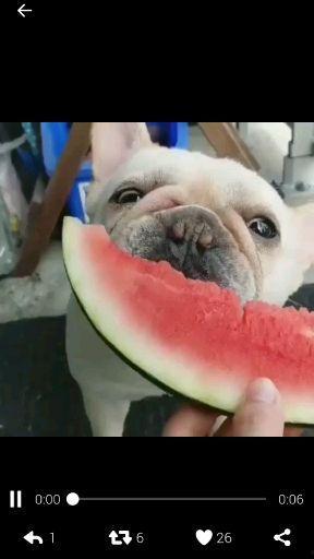 吃瓜群众心理的阴暗面,嫉妒与幸灾乐祸的真相