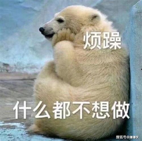 很悠闲的吃瓜群众图片高清,尽享瓜界盛宴