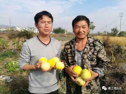 边境的吃瓜群众,边境吃瓜群众视角下的风土人情