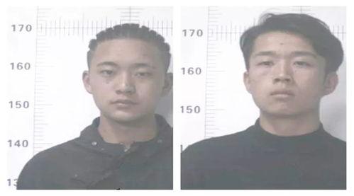 吃瓜群众自牧,揭秘网络舆论场中的“瓜农”生活