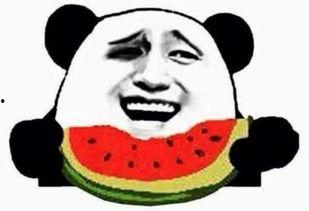 薇薇安吃瓜群众,吃瓜群众的美食之旅