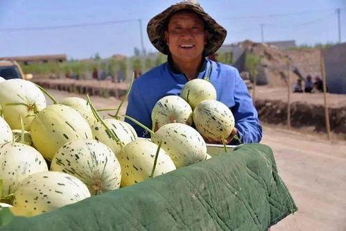 自己当个吃瓜群众的文案,揭秘娱乐圈那些事儿