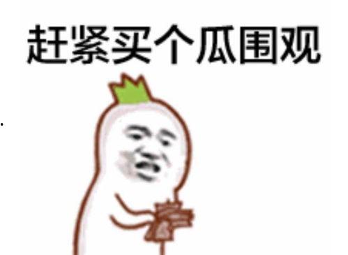 吃闪光瓜群众表情包