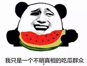 吃瓜群众的一位大佬