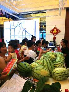 后三排吃瓜群众,后三排吃瓜群众的欢乐盛宴