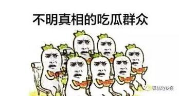 穿书做吃瓜群众,我是吃瓜群众