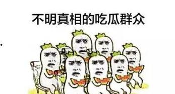 吃瓜群众一排,吃瓜群众视角下的娱乐圈风云录