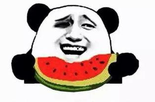 吃瓜群众看点什么,吃瓜群众最关注的八卦焦点