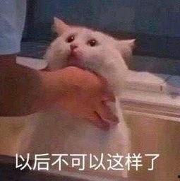 测一测吃瓜群众是什么,网络时代的旁观者与评论者