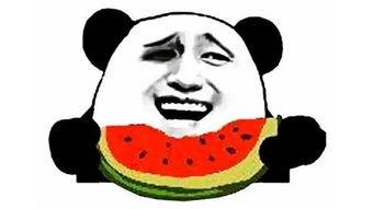 一个吃瓜群众搞笑,揭秘娱乐圈那些让人捧腹大笑的幕后故事